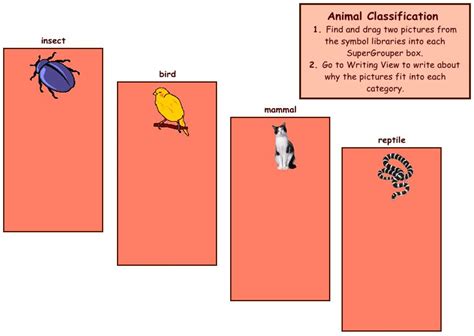 free brainpop|brainpop jr free download.